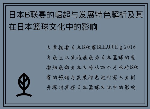 日本B联赛的崛起与发展特色解析及其在日本篮球文化中的影响